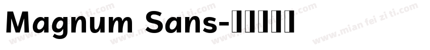 Magnum Sans字体转换